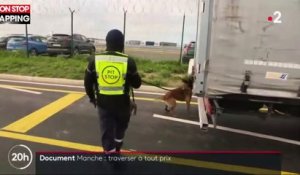 Les journalistes de France 2 tombent sur des migrants cachés dans un camion vers l'Angleterre (vidéo)