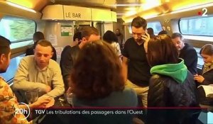 Grève SNCF : tribulations des passagers dans l'ouest de la France