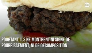 10 ans après avoir été achetés, ce burger et ces frites n'ont toujours pas pourri