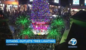 Californie : le plus grand sapin de Noël naturel au monde vient d’être installer