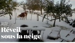 Le Sud-Est de la France se réveille sous la neige