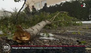 Neige en Ardèche : une nouvelle nuit sans électricité