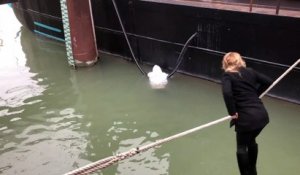 Opération 24h d'Etienne Blanc: la vidéo d'une élue lyonnaise au secours d'un homme tombé dans le Rhône