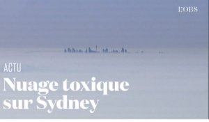 Sydney enveloppée d’un brouillard toxique après les incendies