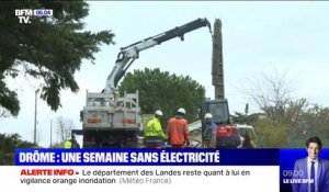 Depuis une semaine, ces habitants de la Drôme vivent sans électricité