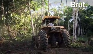 En 2019, la déforestation a explosé dans la partie brésilienne de la forêt amazonienne