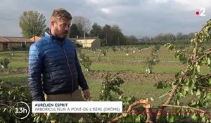 Neige dans la Drôme : les récoltes des agriculteurs sont compromises