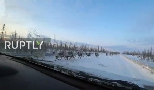 3000 rennes bloquent une route au milieu des voitures !