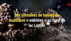 Des centaines de tonnes de munitions « oubliées » au fond du lac Léman