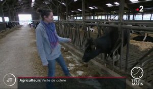 Val-d'Oise : témoignage d'une agricultrice en colère et en détresse