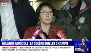 Après une réunion au ministère de l'Agriculture, la FNSEA demande la "suspension du mouvement"