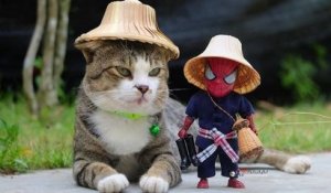 Cet artiste crée des scénarios très drôles dans lesquelles son chat et un bébé Spider-Man sont les héros