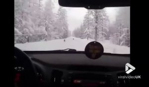 Ils croisent des loups qui courent sur une route enneigée en Russie...