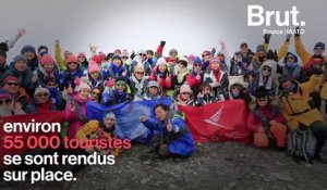 Selfies avec des manchots, baignades dans l'eau glaciale… Le tourisme, nouvelle menace pour l'Antarctique