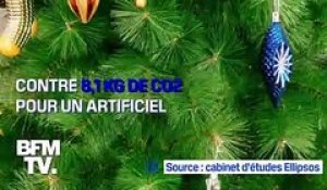 Naturel ou artificiel, quel sapin choisir pour être le plus écolo?