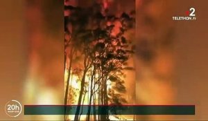 Australie : un gigantesque incendie s'approche de la ville de Sydney