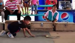 Ce garçon n'a vraiment pas peur des serpents