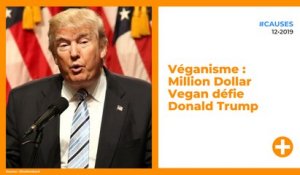 Véganisme : Million Dollar Vegan défie Donald Trump