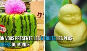 Voici les 6 fruits les plus chers du monde