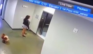 Un homme sauve un chien avant qu'il ne se face happer par un ascenseur