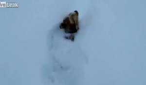 1m de neige : ce chien disparaît !
