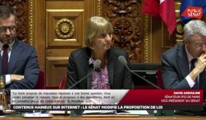 Proposition de loi visant à lutter contre les contenus haineux sur Internet - Les matins du Sénat (18/12/2019)