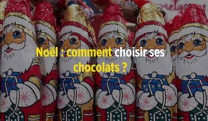Noël : comment choisir ses chocolats ?