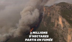 En Australie, les images des incendies monstres vues du ciel