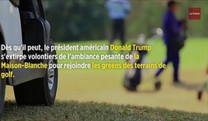 Donald Trump et le golf : la folie des grandeurs