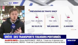 Grève: 1 TGV sur 2, 4 TER sur 10 et 1 Intercités sur 4 circuleront lundi