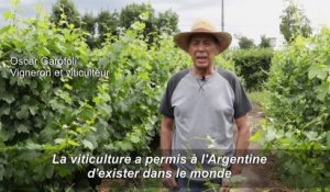 Au pied des Andes, des viticulteurs refusent le cyanure dans les mines