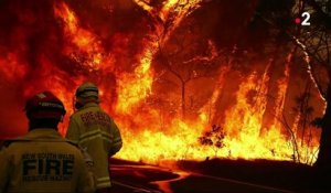Australie : les ravages des incendies