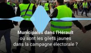 Municipales dans l'Hérault : où sont les gilets jaunes dans la campagne électorale ?