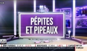 Pépites & Pipeaux: Fnac Darty - 06/01