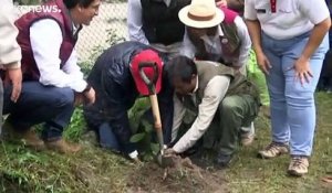 Machu Picchu : le président péruvien veut planter un million d'arbres