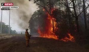 Australie : les dernières images des feux