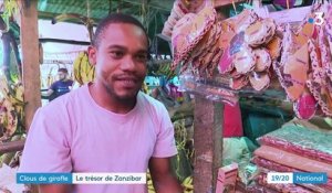 Zanzibar : le clou de girofle, seconde source de revenus de l'archipel