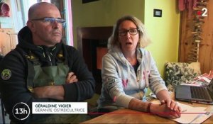 Gironde : deux ostréiculteurs condamnés pour travail dissimulé