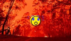 OMF Oh my fake : Incendies en Australie, la faute à qui ?