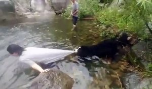 Ce chien refuse de laisser son maitre se baigner : un peu trop protecteur