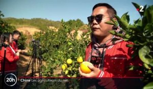Chine : les agriculteurs du net