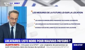 En quoi consisterait le fichier des mauvais payeurs que veut mettre en place la FNAIM ?