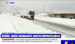 Tempête Gloria: 30 cm de neige sont tombés à Le Perthus dans les Pyrénées-Orientales
