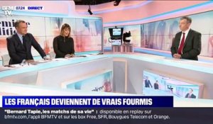 Les Français deviennent de vrais fourmis - 22/01