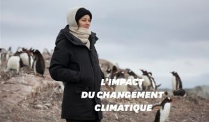 Marion Cotillard en Antarctique avec Greenpeace