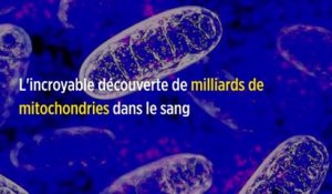 L'incroyable découverte de milliards de mitochondries dans le sang