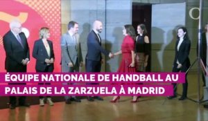 Letizia d'Espagne étrenne une nouvelle robe de sa créatrice fétiche