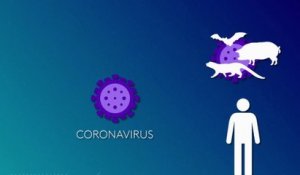 Science - Le Coronavirus au microscope