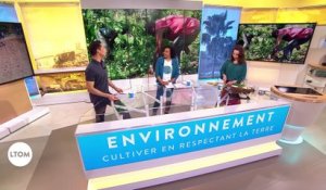 Environnement : Cultiver en respectant la terre