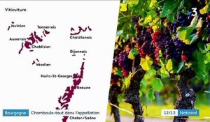 Bourgogne : de nombreux viticulteurs pourraient perdre leur appellation